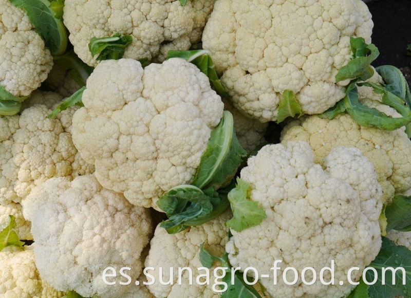 Delicious Frozen Organic Cauliflower